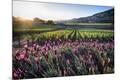 Premium Photographic Print