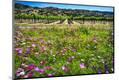 Premium Photographic Print