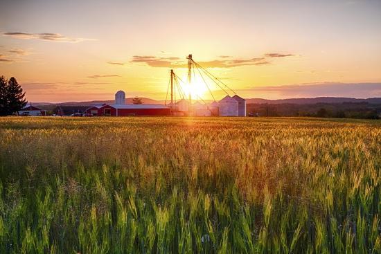 Photographic Print, , large