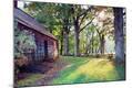 Photographic Print