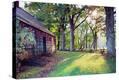 Stretched Canvas Print