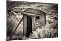 Photographic Print