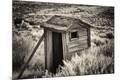 Premium Photographic Print