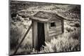 Photographic Print