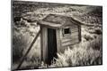 Photographic Print