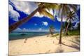 Premium Photographic Print