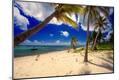 Photographic Print