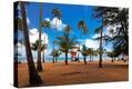 Stretched Canvas Print