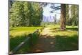 Photographic Print