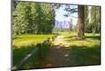 Photographic Print