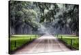Stretched Canvas Print