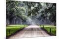Photographic Print