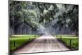 Photographic Print