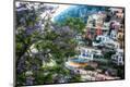 Photographic Print