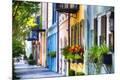 Premium Photographic Print