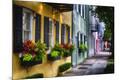 Photographic Print
