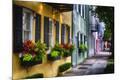 Premium Photographic Print