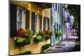 Premium Photographic Print