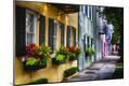 Photographic Print