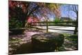 Photographic Print
