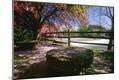 Photographic Print