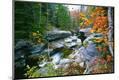 Photographic Print