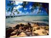 Photographic Print