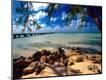 Photographic Print