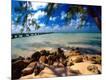 Photographic Print