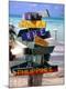 Premium Photographic Print