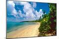Photographic Print