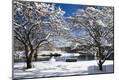 Photographic Print