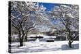 Stretched Canvas Print