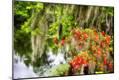 Photographic Print