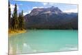 Photographic Print