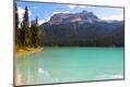 Photographic Print