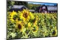 Premium Photographic Print
