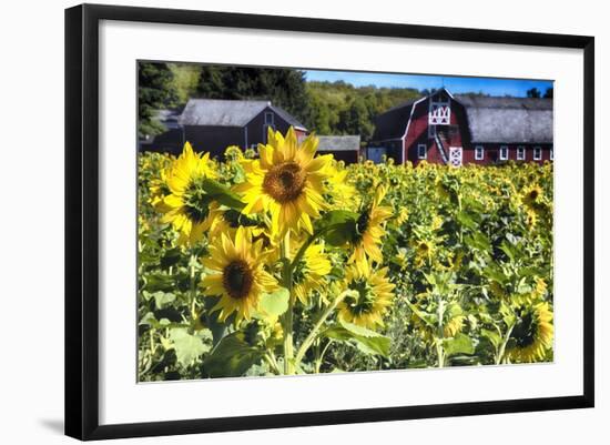 Photographic Print, , large