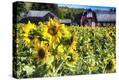 Stretched Canvas Print