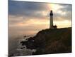 Premium Photographic Print