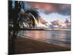 Premium Photographic Print