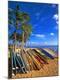 Premium Photographic Print