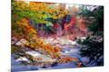 Photographic Print
