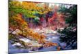Photographic Print