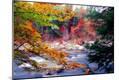 Photographic Print