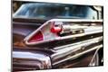 Photographic Print