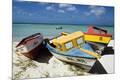 Photographic Print