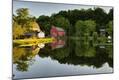 Photographic Print