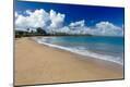 Photographic Print