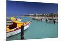 Photographic Print